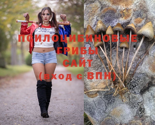герыч Арсеньев