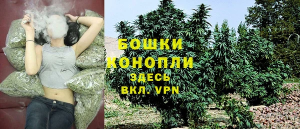 PSILOCYBIN Армянск