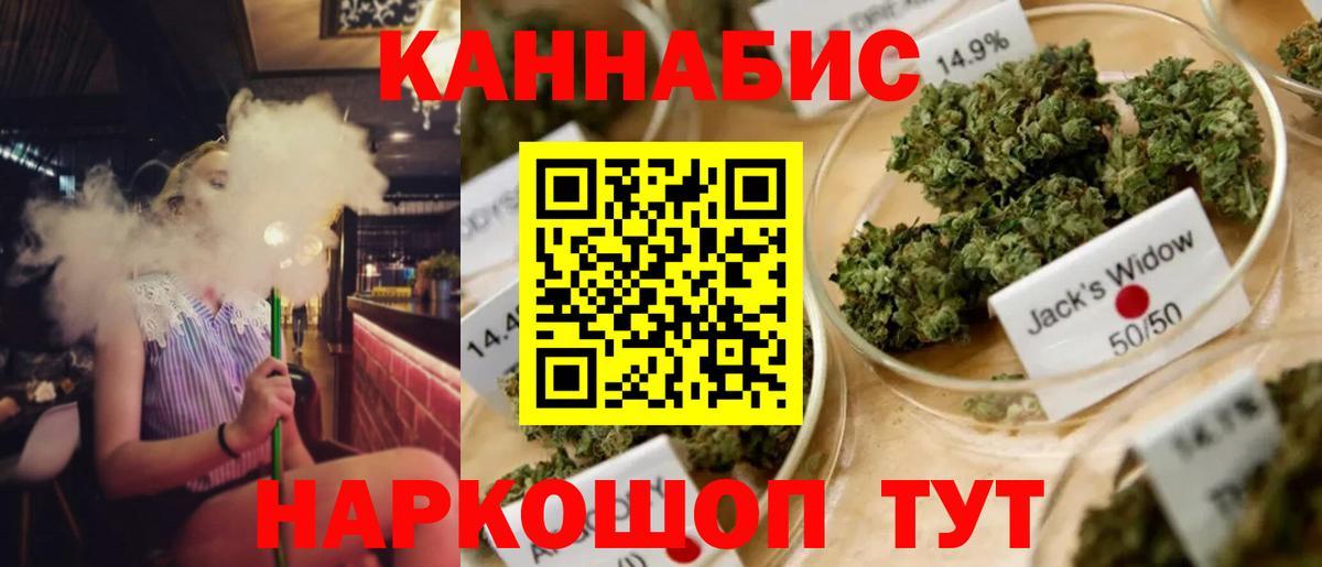Канабис сатива  МАРИХУАНА индика  Балтийск  Вход с VPN  Бошки Шишки LSD WEED  Бошки марихуана Amnesia 